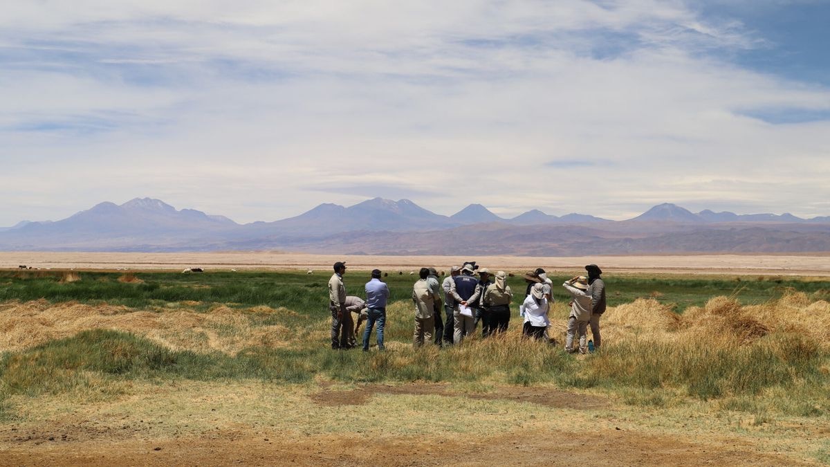 Equipo en terreno en el Salar de Atacama durante una actividad de monitoreo.